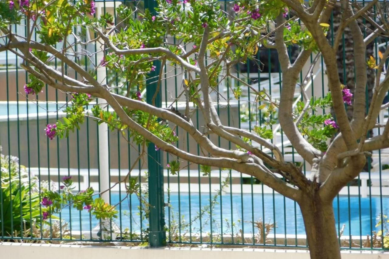 "T2 "Antibes Les Pins 3" Air Conditionned Sea View With Parking And Pool" 아파트 외부 사진